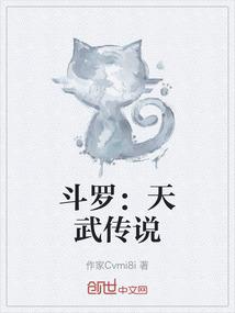 斗罗：天武传说