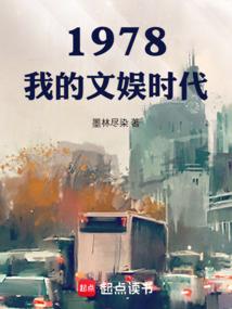 1978：我的文娱时代