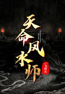 天命风水师