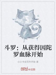 斗罗：从获得因陀罗血脉开始